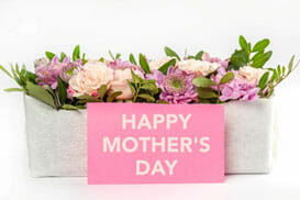 Miss Sam and Miss Jen’s May 6, 2022 Red Robin Preschool Newsletter