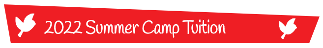 Summer Camp 2022 Tuition, Long Island, NY